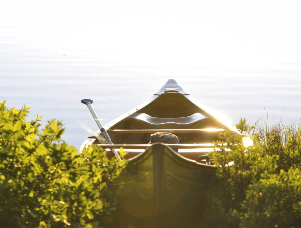 wir sitzen im selben Boot