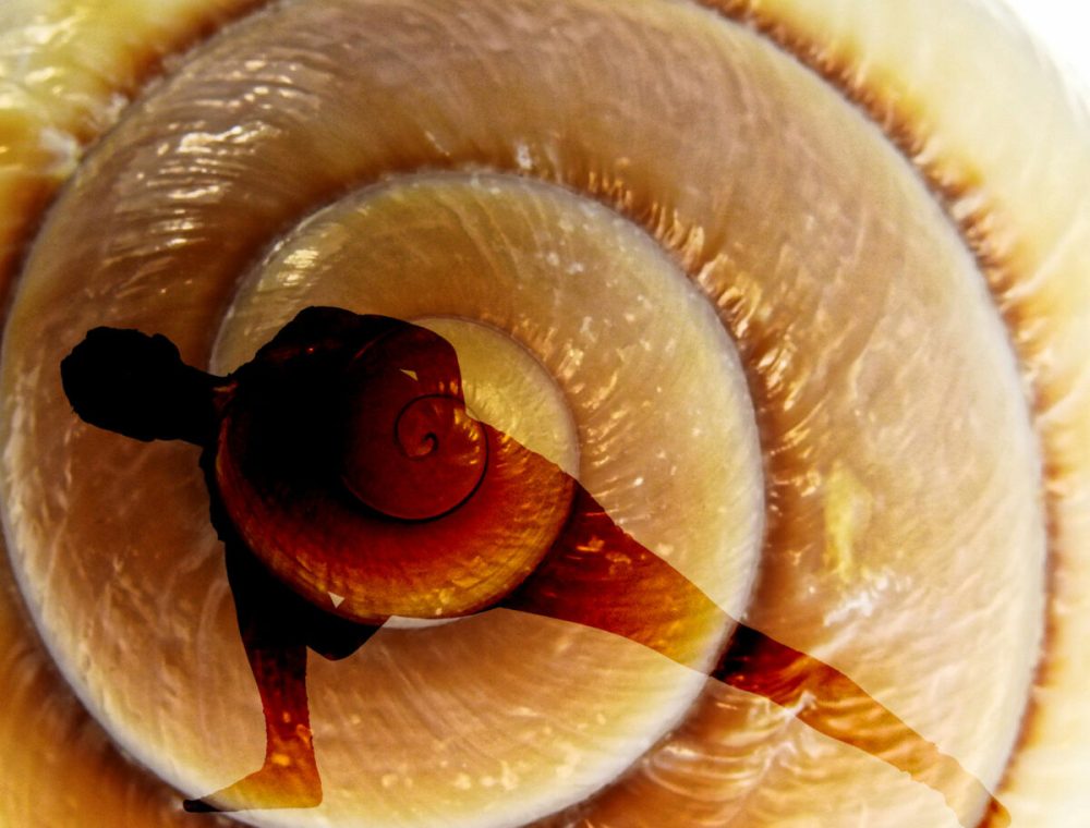 yoga-spiraldynamik-